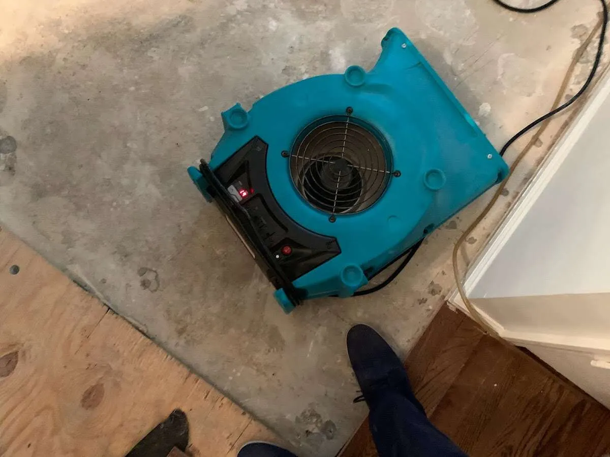 Air mover drying subfloor during Leak Detection & Repair in Rathdrum